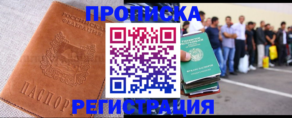 прописка паспорт в Щёлково